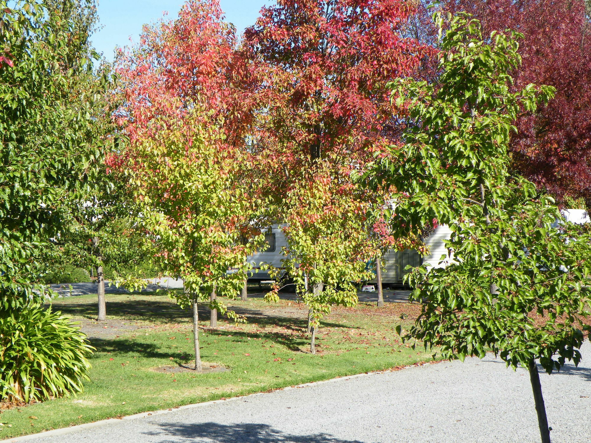 Lake Hamilton Motor Village And Caravan Park Exterior photo